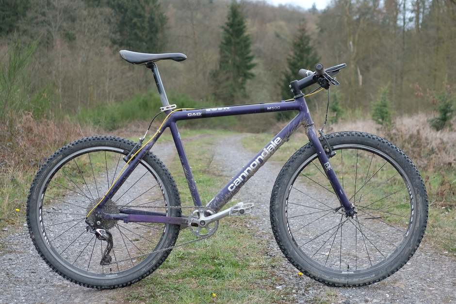 purple cannondale mountain bike