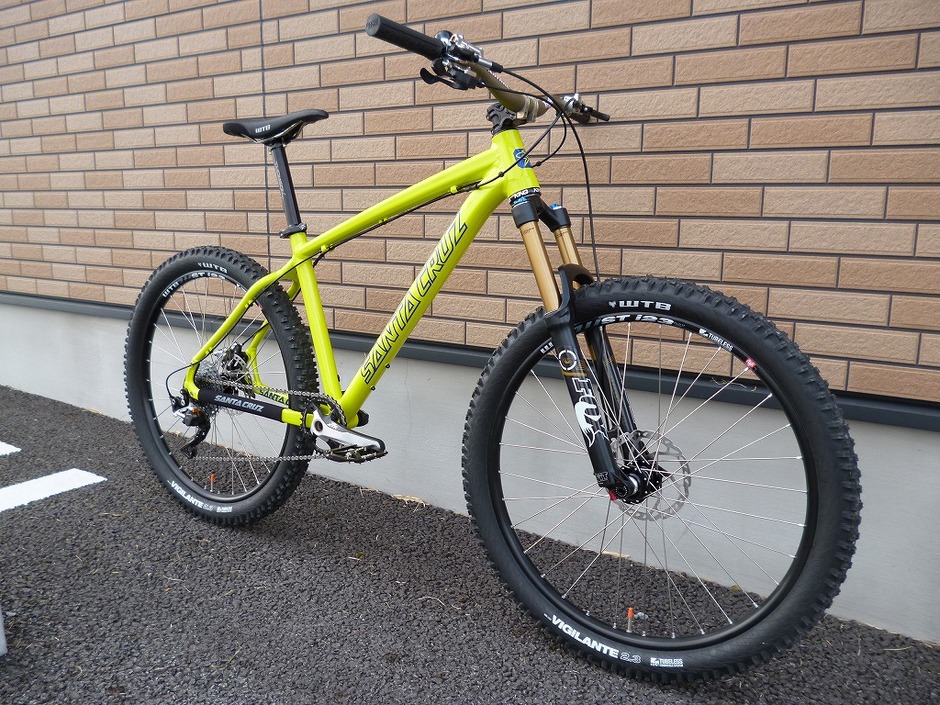 Santa cruz chameleon sales 2013