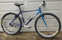 1996 Trek 800 single speed conversion photo