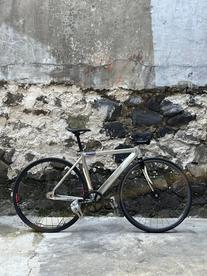 2013 Raw Visp TRX 790 photo