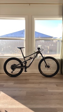 2021 Specialized Status 160 photo