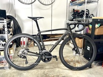 2024 Trek Emonda ALR Disc