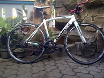 Bianchi Nirone7