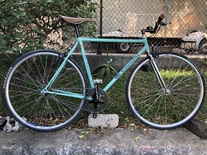 Bianchi single speed