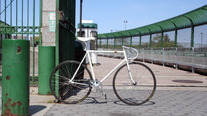 Bomber Pro (NJS) - Pearl White