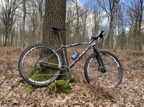 CANNONDALE FSI HM 29 photo