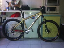 Commencal Absolut photo