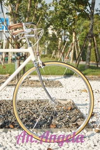 Customized urban bicycle photo