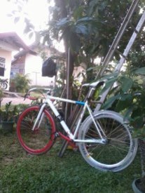 Fixed Gear