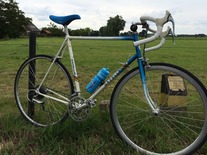 Gazelle Ventoux photo