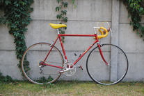 Lang Cycles Suisse