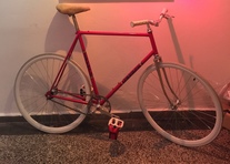 Levero Fixed Gear Conversion