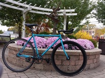 Motobecane track Mink Blue photo