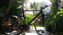 My bike photo