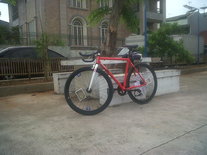 My Lovely Fixed Gear photo