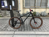 NSbikes - Surge Evo