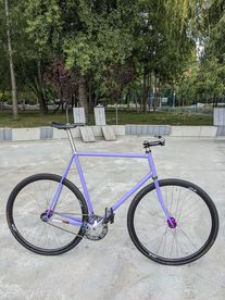 Purple Wabi Special LE