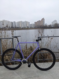 Purple Wabi Special LE