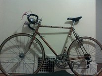 Raleigh Mark 10 photo