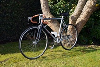 Raleigh Pulsar Aerospace Contour photo