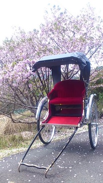 Rickshaw photo