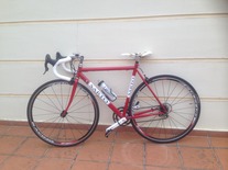 Sarto Rovigo Steel Bike photo