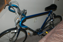 Schwinn Sport Tourer photo