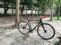 Specialized Lagster 2010 LA edition photo