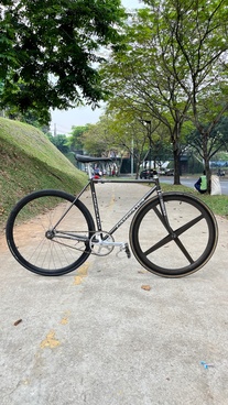 Umezawa NJS