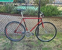 Vintage Raleigh Fixed Conversion