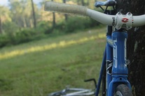 Visp Blue TRX790 photo