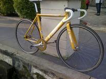 VISP Gold