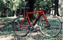 VISP TRX 790 (repaint)