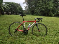 Wilier Triestina Lavaredo photo