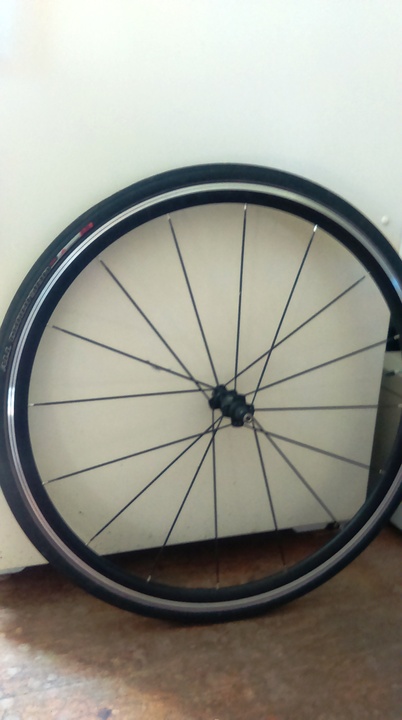 forte titan wheelset