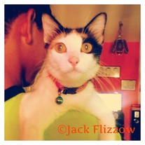 JackFlizzow