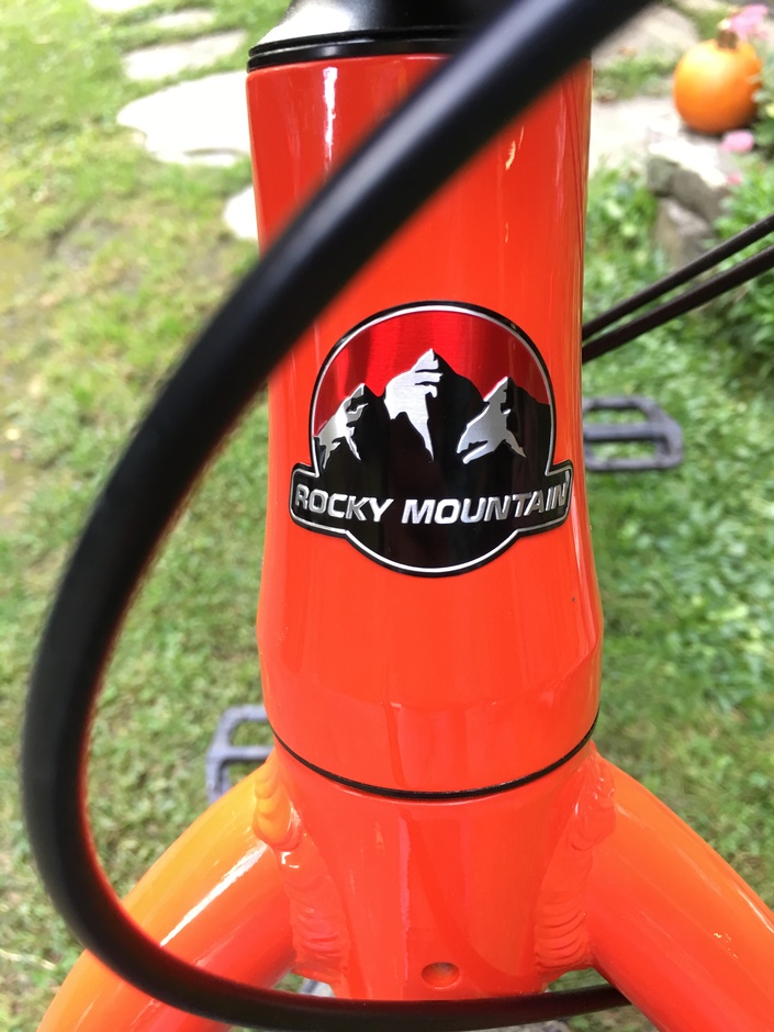 2019 Rocky Mountain Blizzard 10 Pedal Room