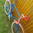 My fixie