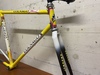 1993 Colnago Art Decor photo