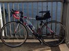 2011 TREK MADONE 3.1 photo