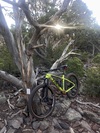 2019 Trek Roscoe 7 photo