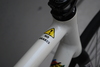 Bianchi pista concept white photo