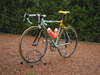 Bianchi reparto corse photo