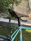 Bianchi single speed photo