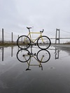 Bridgestone Anchor NJS photo