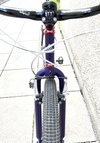 1996 Cannondale M500 purple photo