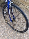 Carrera Nettuno Road Bike photo