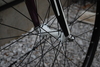 cinelli mash parallax optical size56 photo