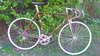 Colnago marrakesh gold & brown For Sale photo