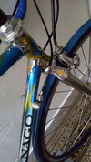 colnago master piu art decor photo